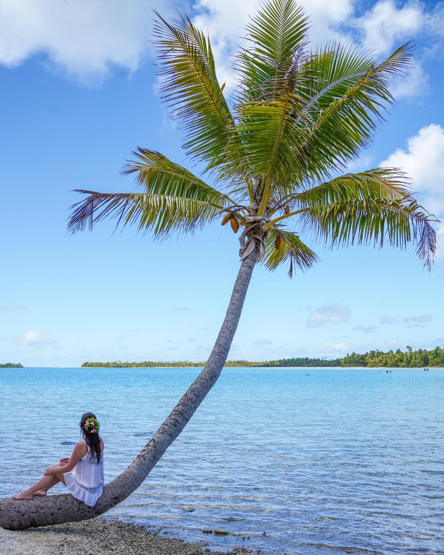 Name a more perfect spot, I&rsquo;ll wait ☀️
.
.
.
.
.
. 📷: @dyl_e_fresh 
#tahiti #lovetahiti #frenchpolynesia #rangiroa #tlpicks #dametraveler #wearetravelgirls #sheisnotlost #lonelyplanet #stayandwander #earthpix #earthhotspots #paradise #tropical