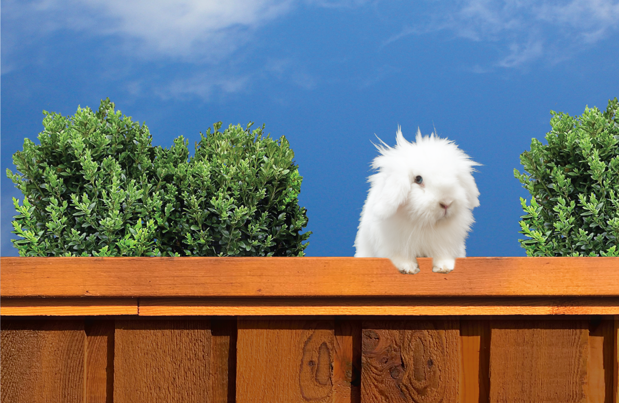 Bam's-Fencing_Banner-2-03.png