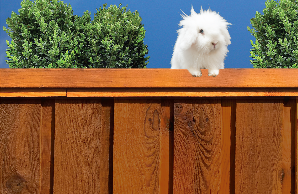 Bam's-Fencing_Banner-3-03.png