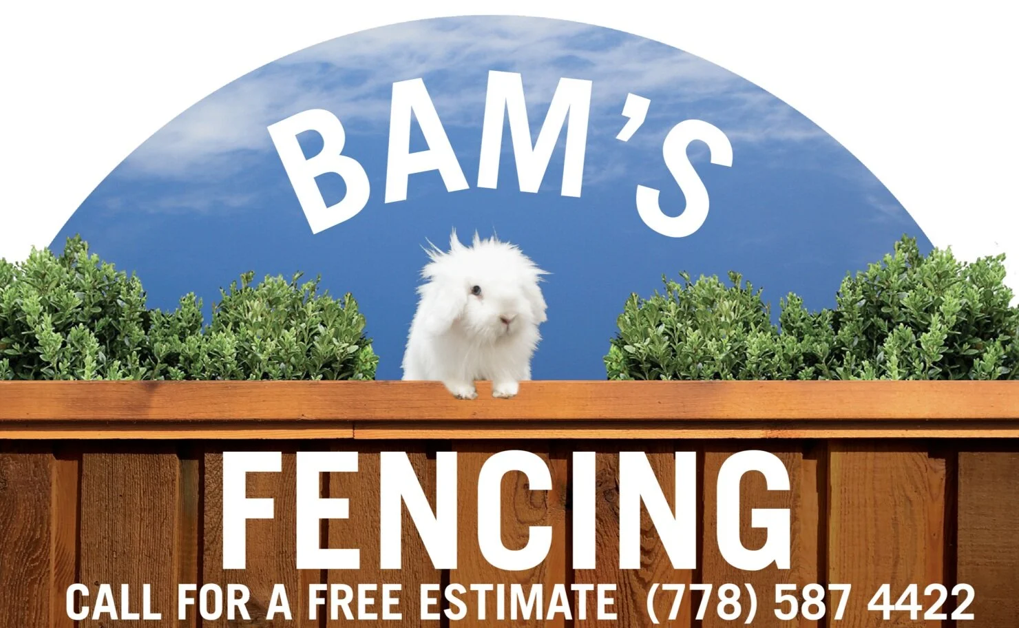 bam+logo2.jpg