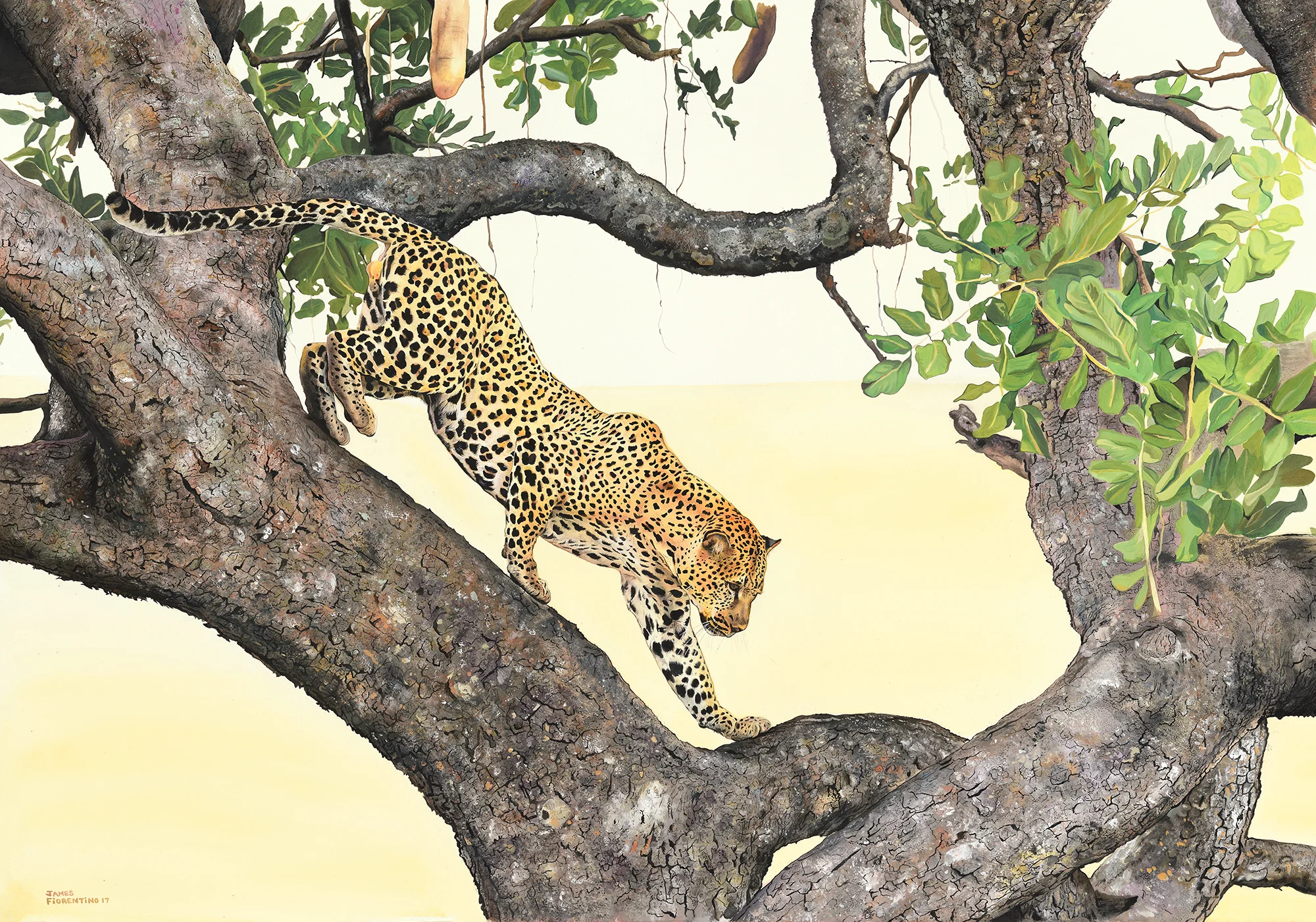 jaguarart.jpg