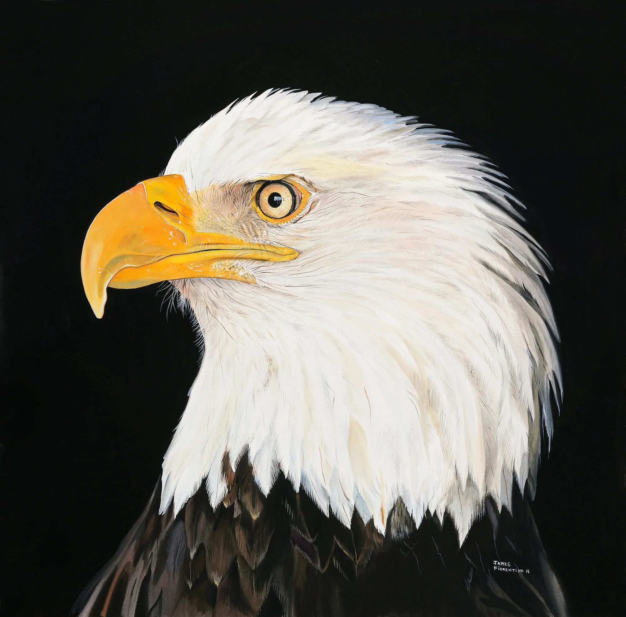 eagleportraitart.jpg