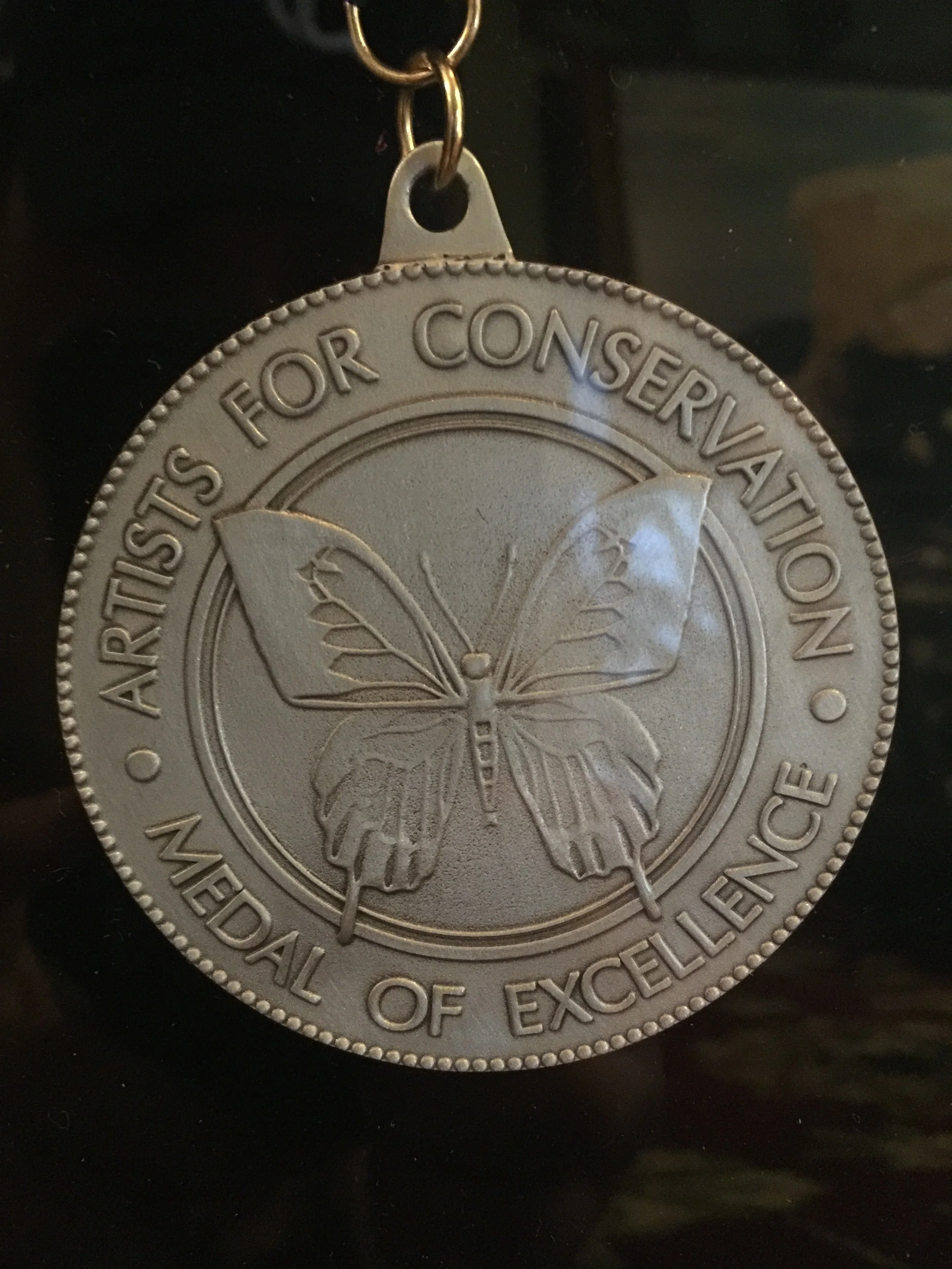 Award Winners For 2017 AFC Exhibit