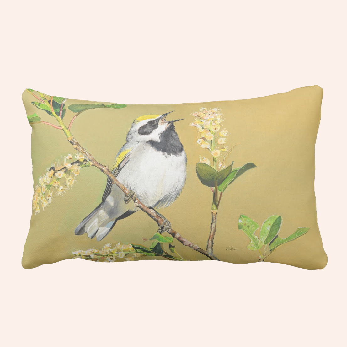 Golden-winged-Warbler-Front.png
