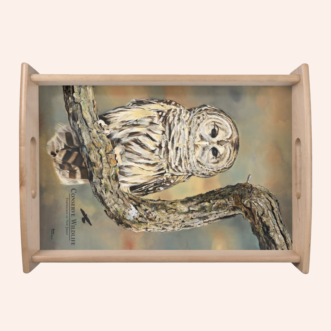 Owl-Front.png