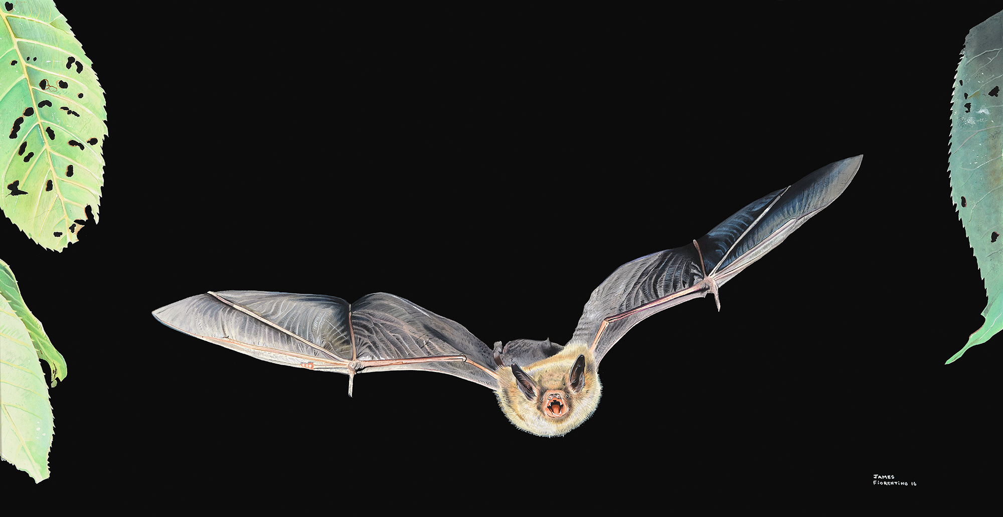 batart.jpg