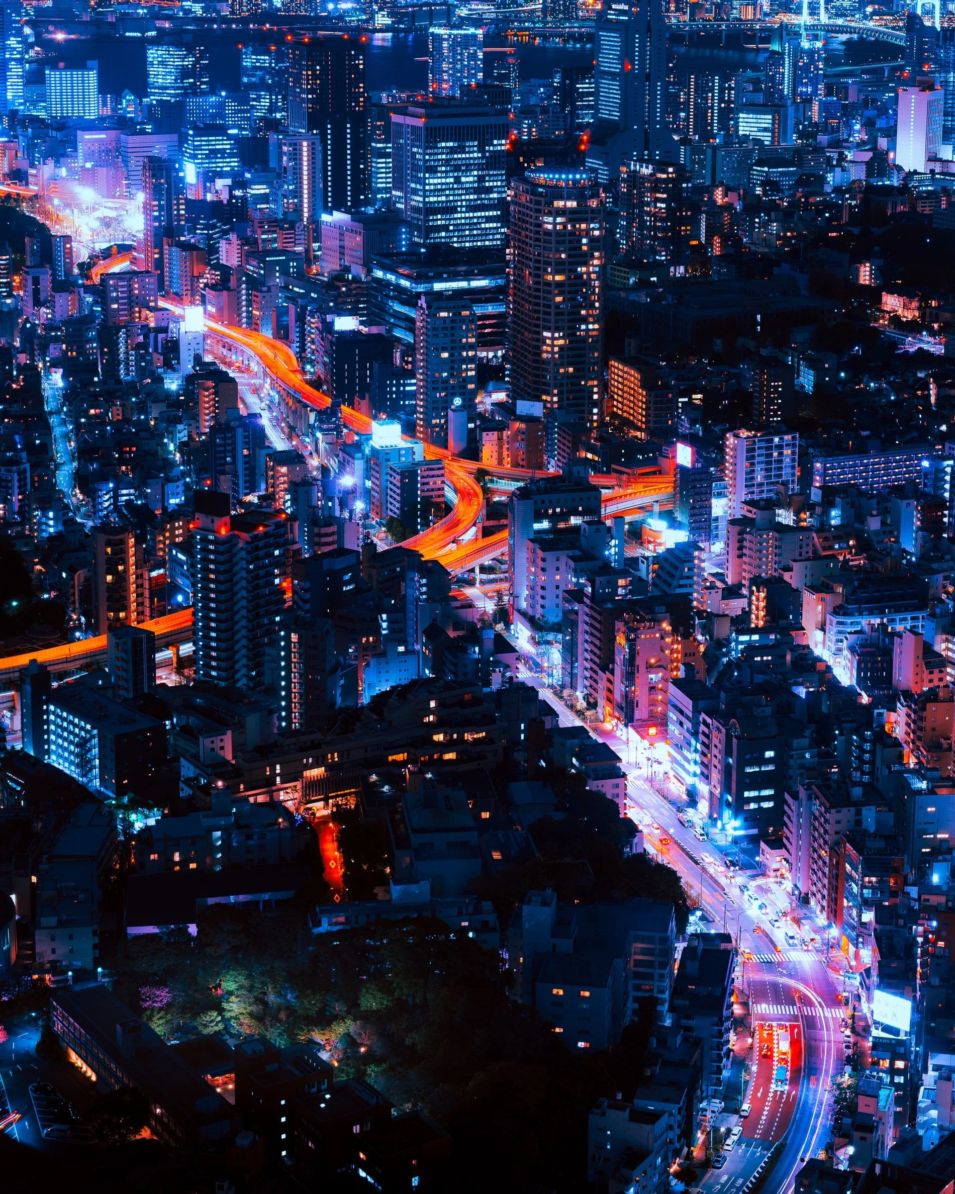 Venus-Travel-Asia-neon-lights.jpg