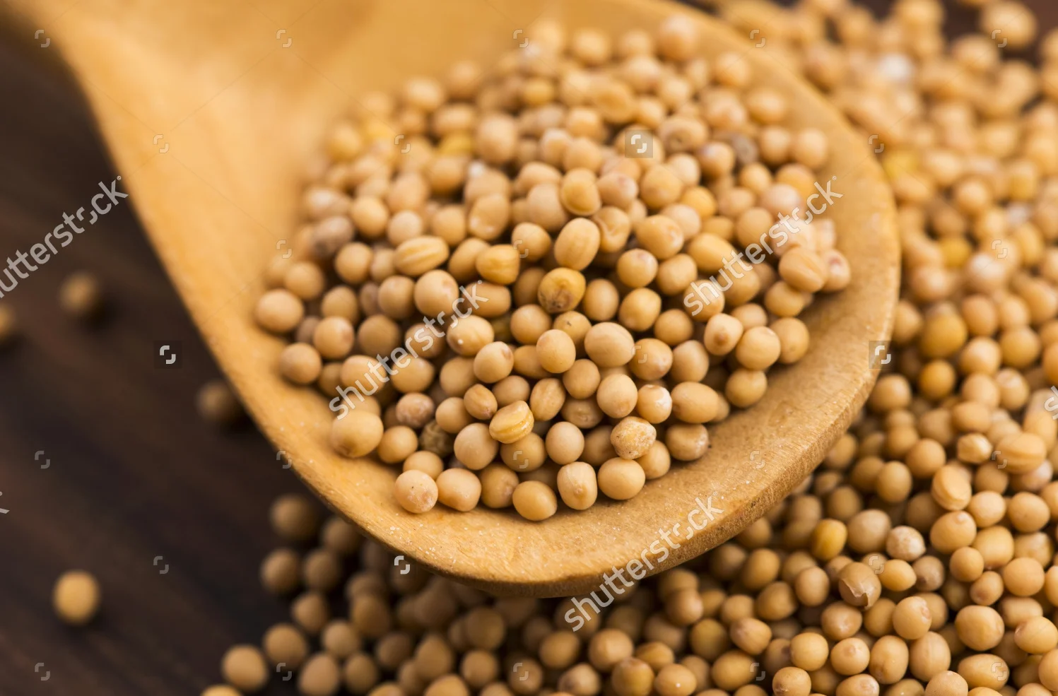 stock-photo-spicy-mustard-seeds-in-a-wooden-background-284886125
