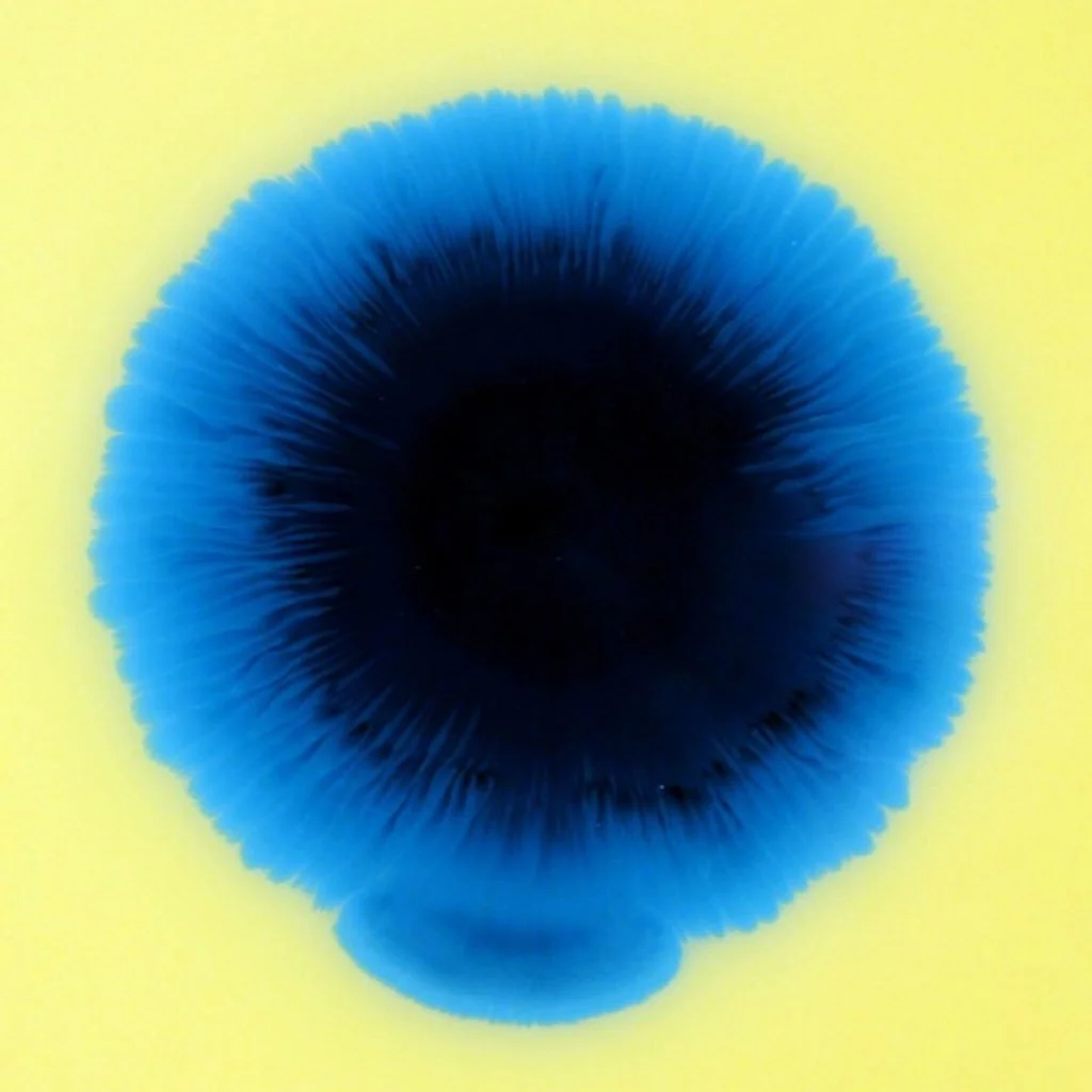 InVerse: “Luke Glanville &amp; Mark Glanville: Refuge Reimagined”