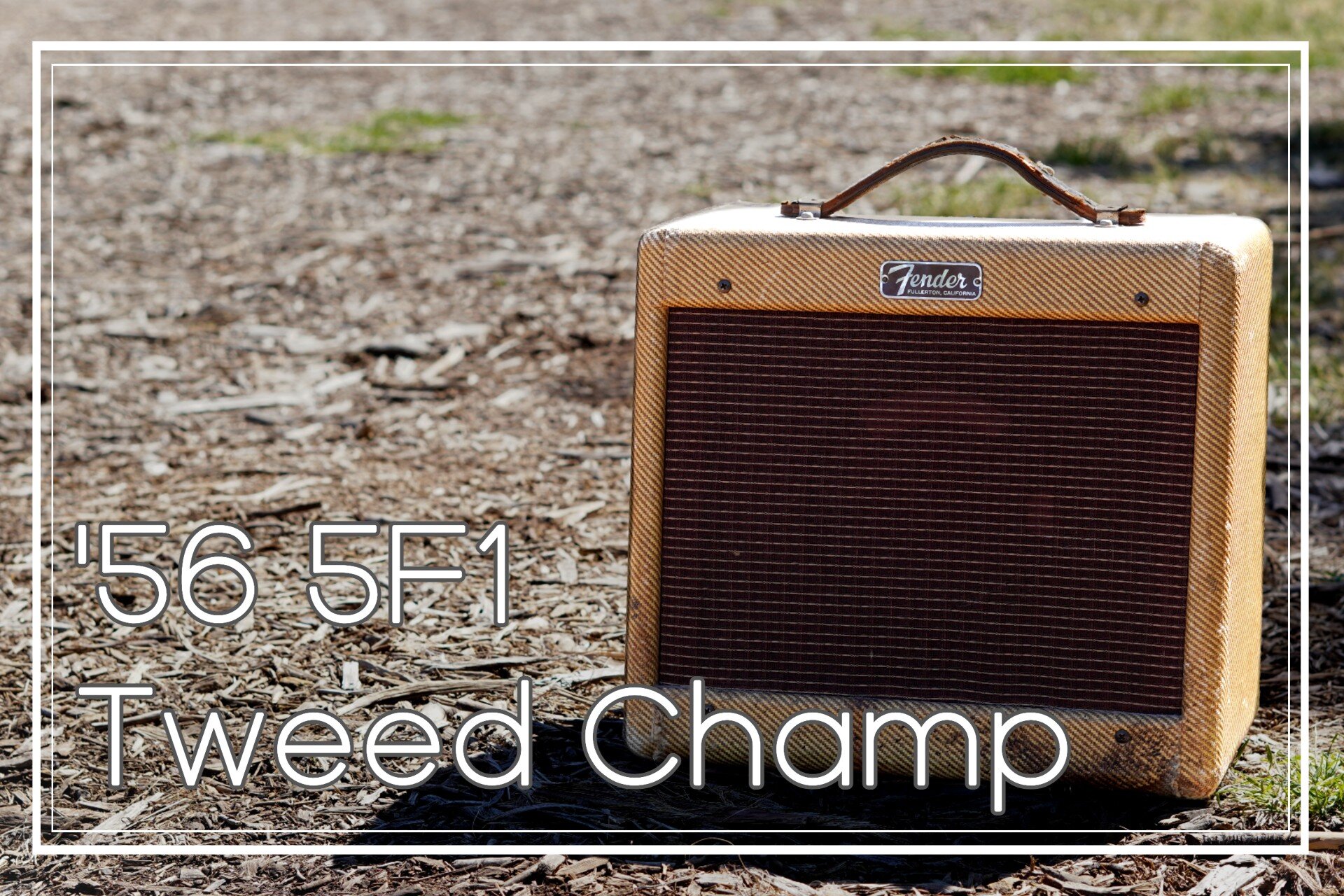 '56 5F1 Tweed Champ Product Image 1.jpg
