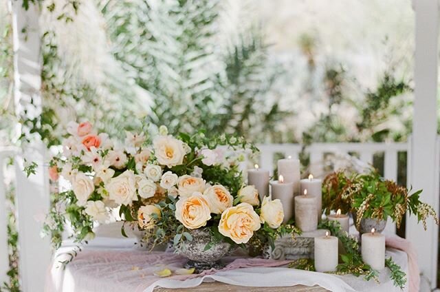 A dreamy table set for an elopement! 
Photo: @tamaragrunerphotography 
Floral: @layersoflovely
Venue: @springspreserve