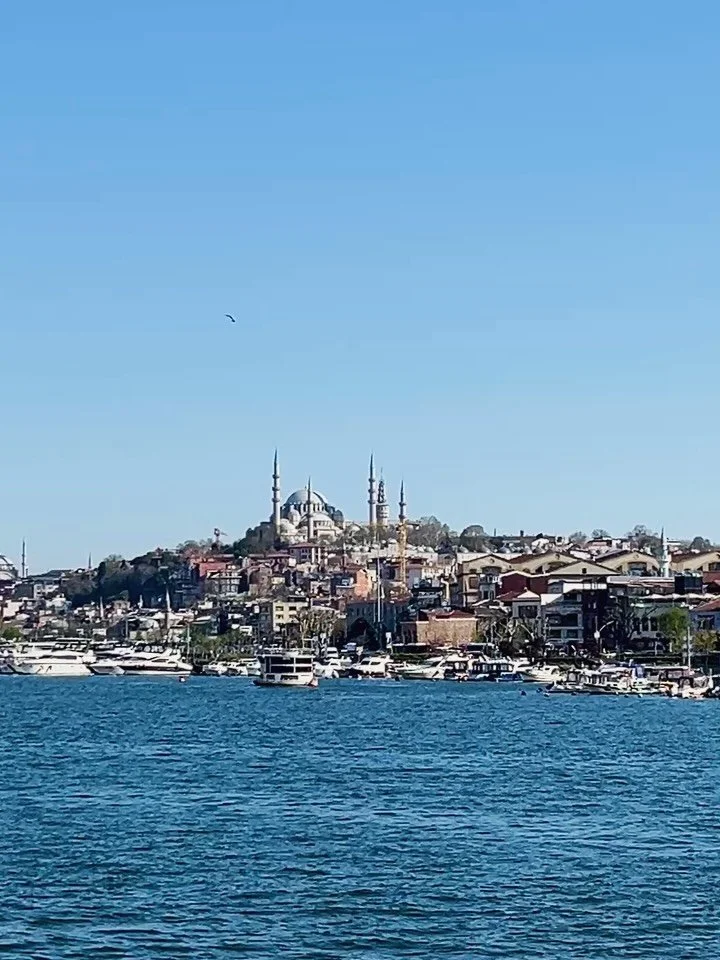 &bull; Teşekk&uuml;rler &bull;

Still smiling thinking about it 💫🥂 thank you Istanbul !!! That was Fun ! 
.
.
.
#istanbul#personalstylistberlin#personalshopperberlin#istanbulvibes#turkey🇹🇷