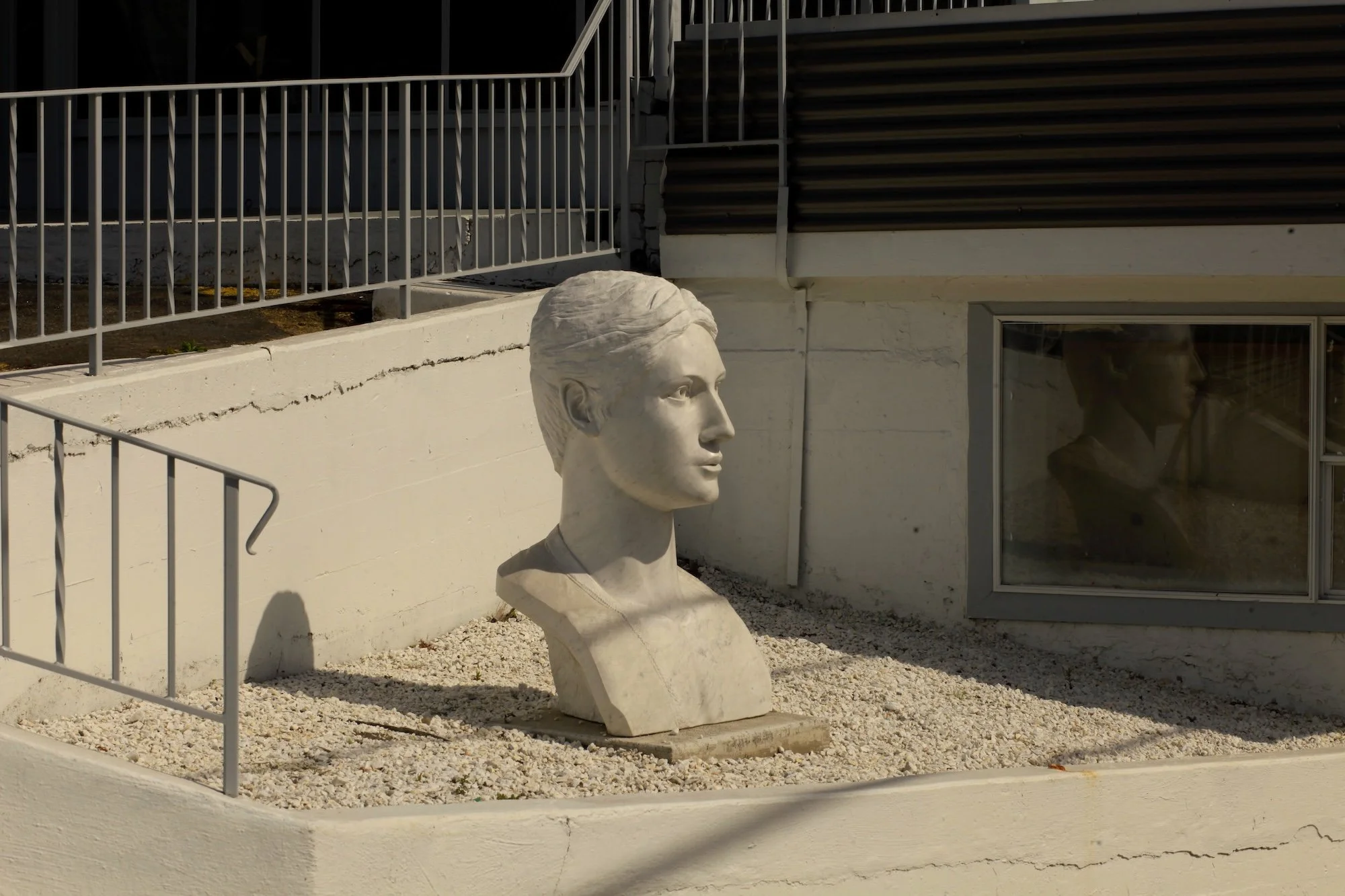  © Shannon O’Connor 