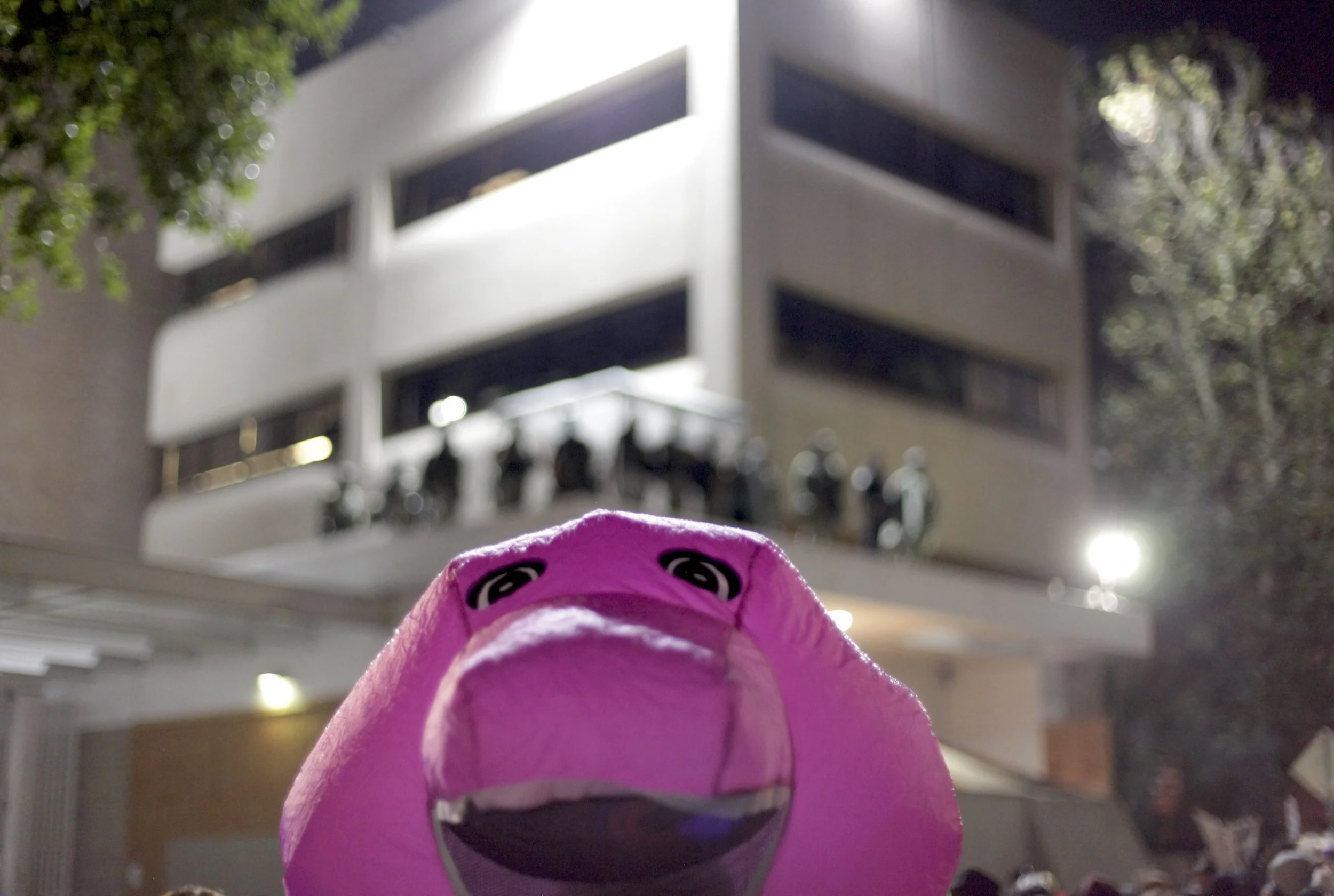  © Shannon O’Connor 