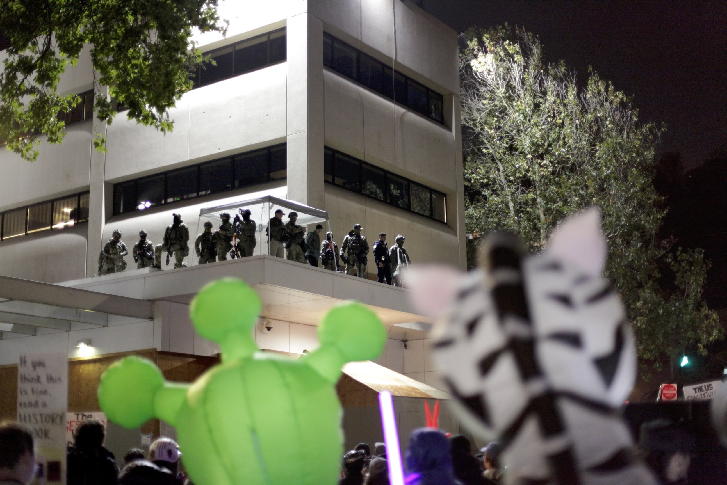  © Shannon O’Connor 