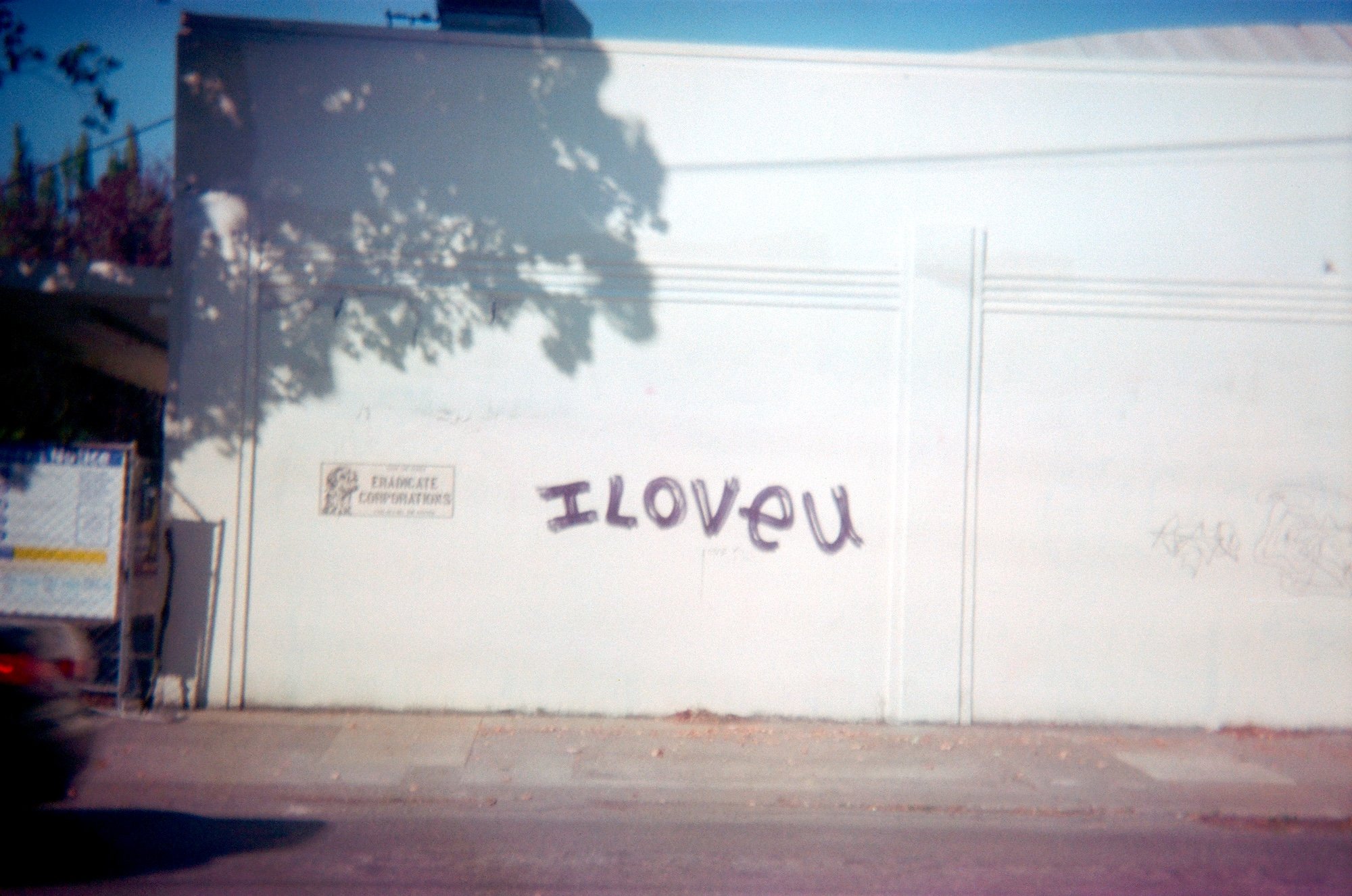  © Shannon O’Connor 