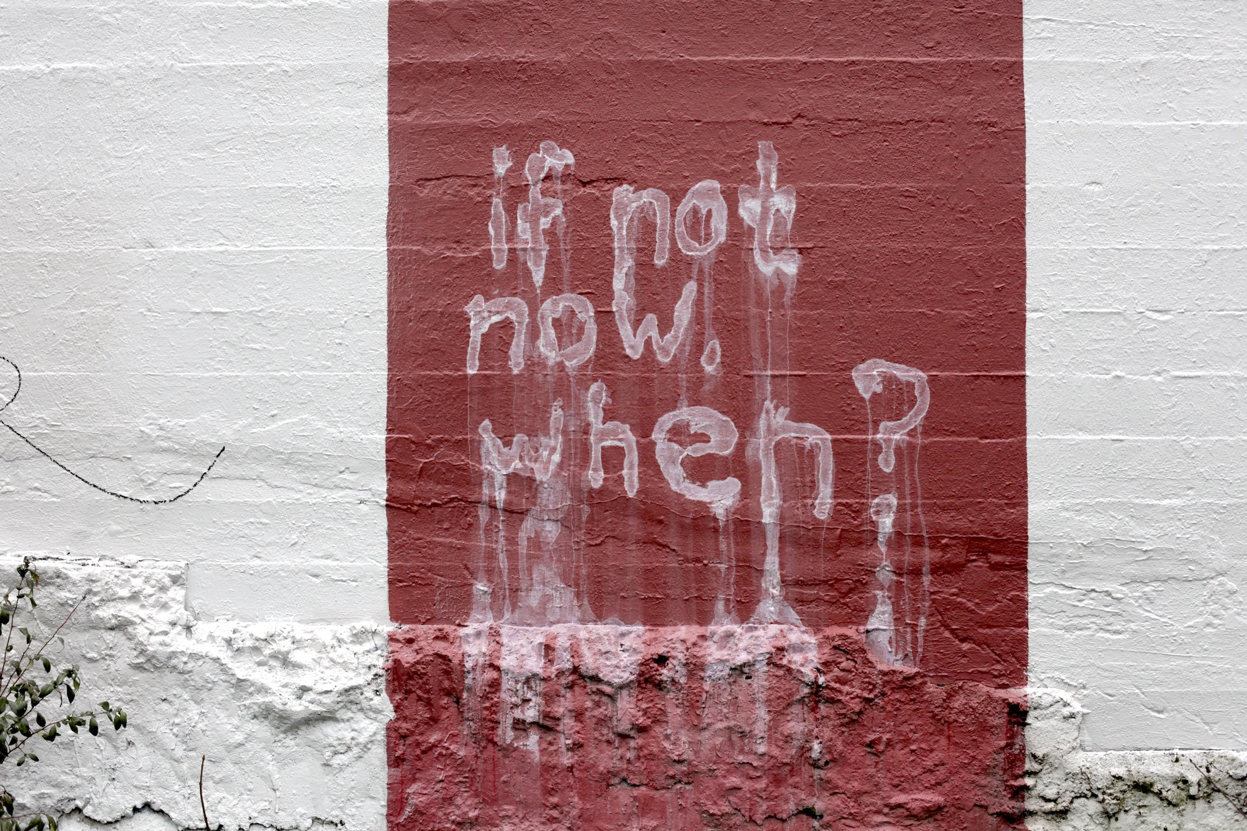  © Shannon O’Connor 