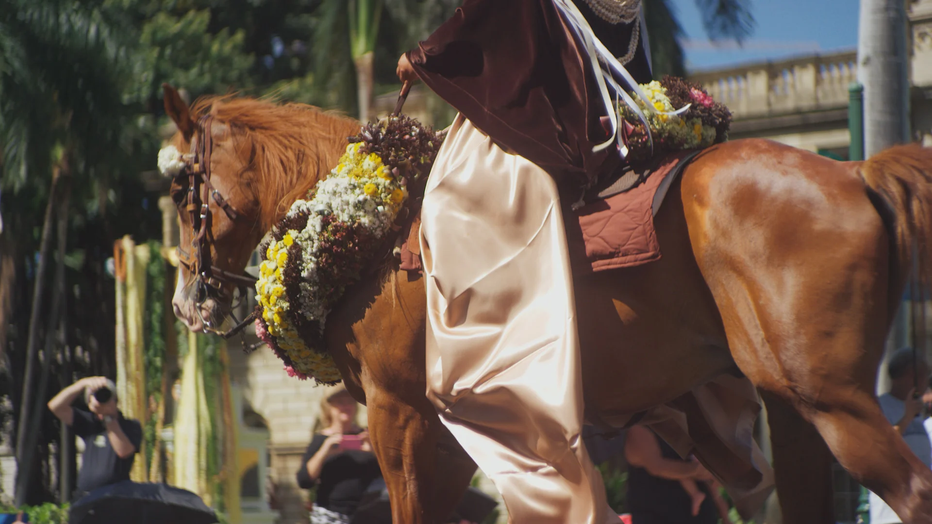 Website-Banner-003.jpg
