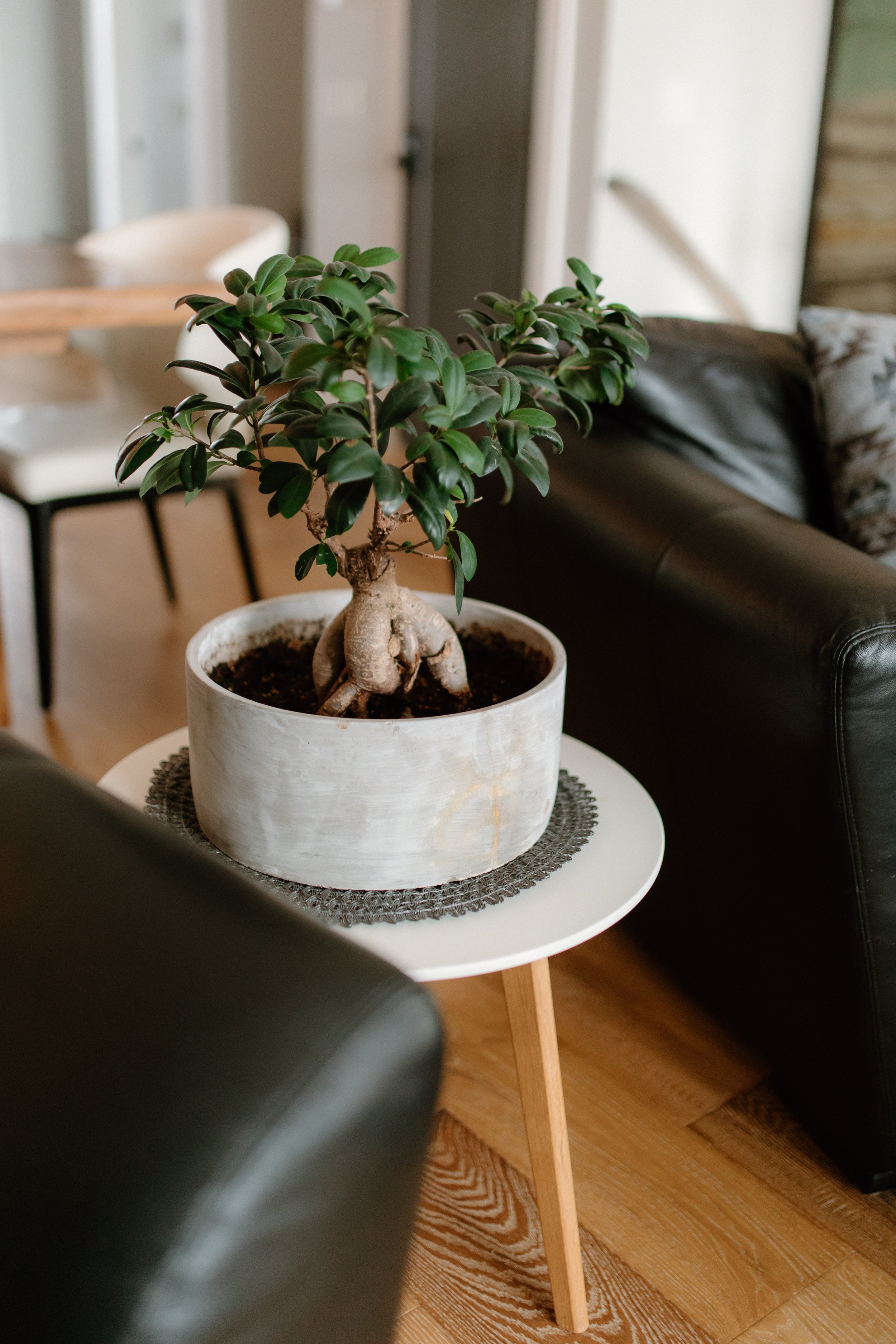 Airbnb-37.jpg