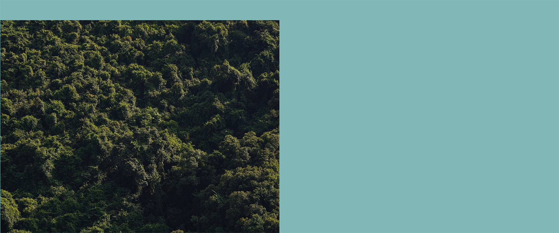 “In our vision of the future, Aotearoa has a circular economy and generates very little waste.”
