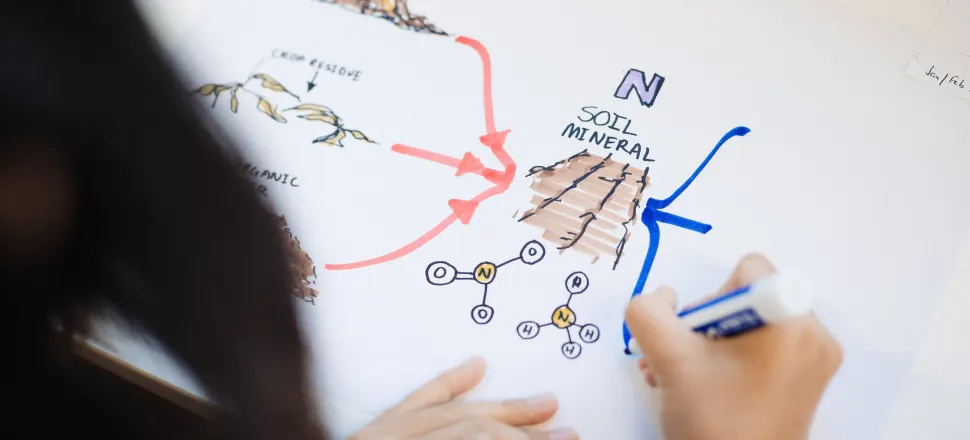 What does the future of New Zealand’s circular economy look like?