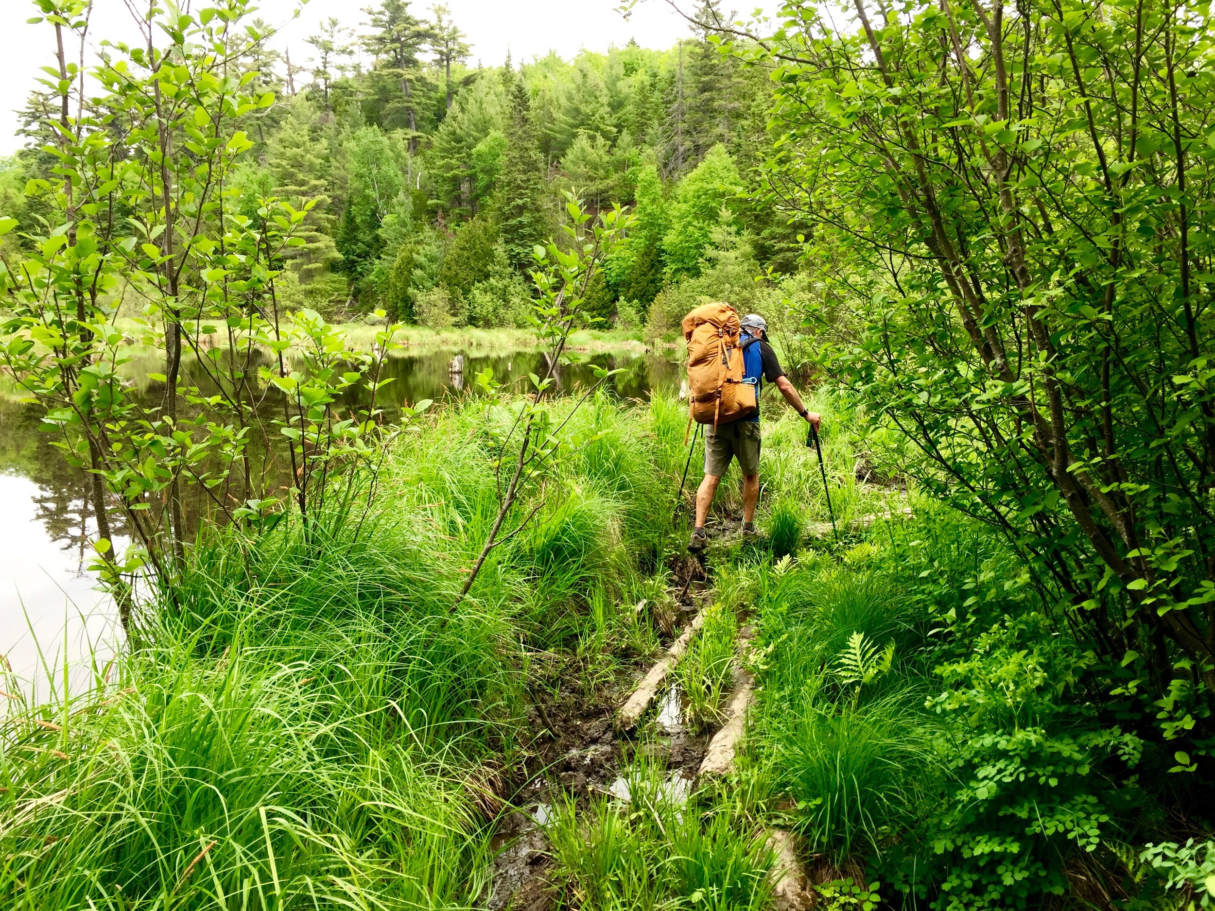 11 - Beaver Dam.jpg