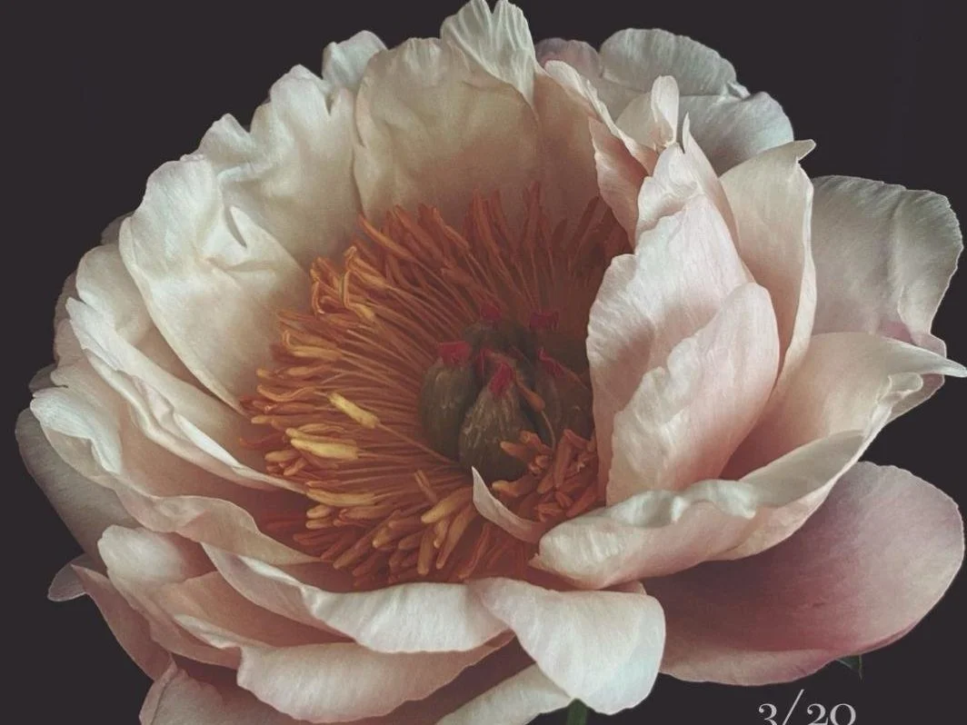 Spring Equinox Ceremony-Yoga &amp; Sound 