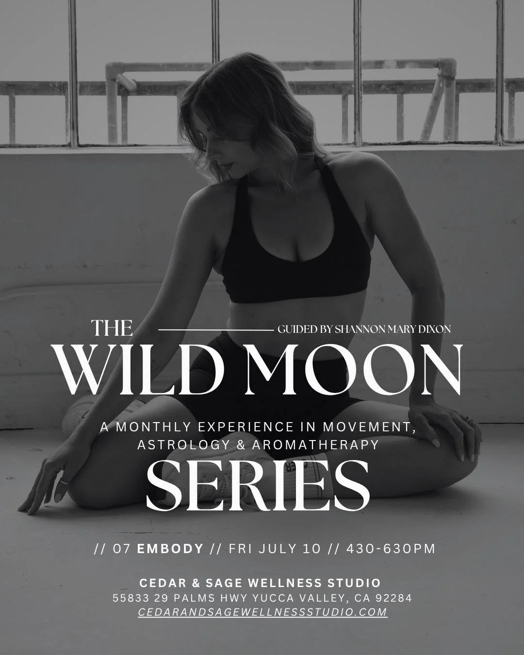 Wild Moon Series with Shannon Mary Dixon