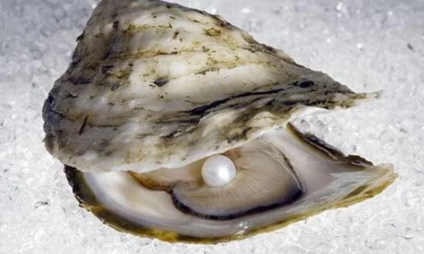 a pearl.jpg