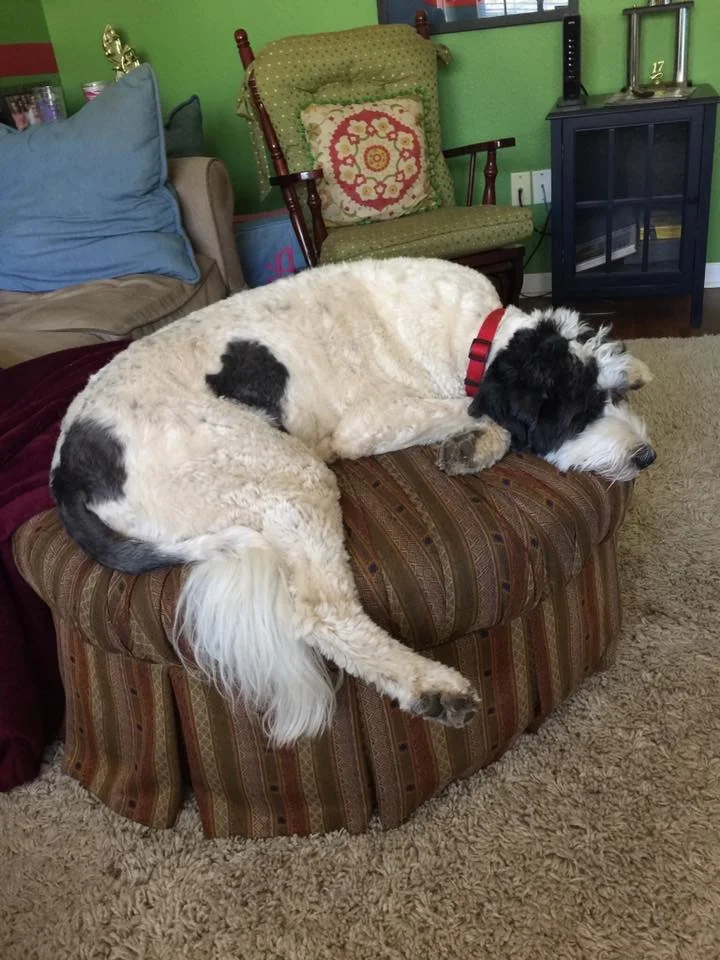 a charlie rest.jpg