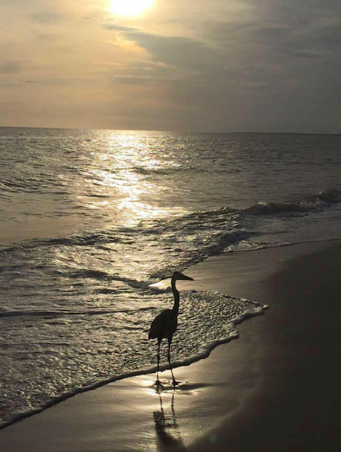 an ocean view.jpg