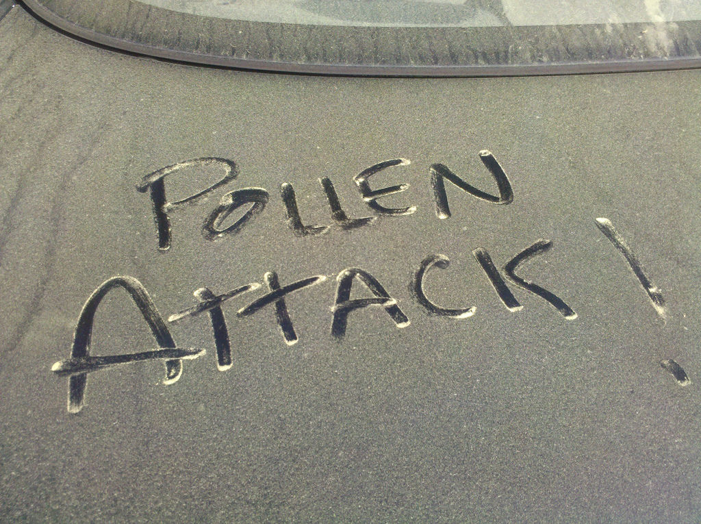 a pollen attack.jpg
