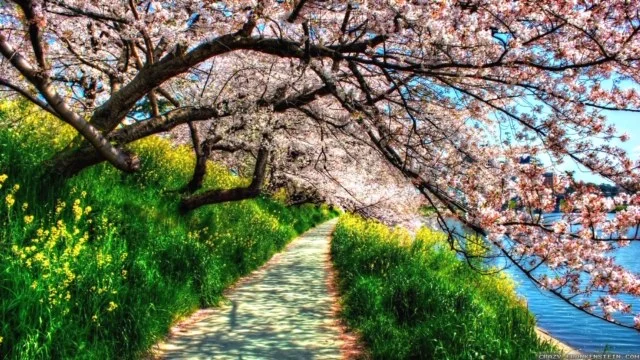 a spring pic.jpg