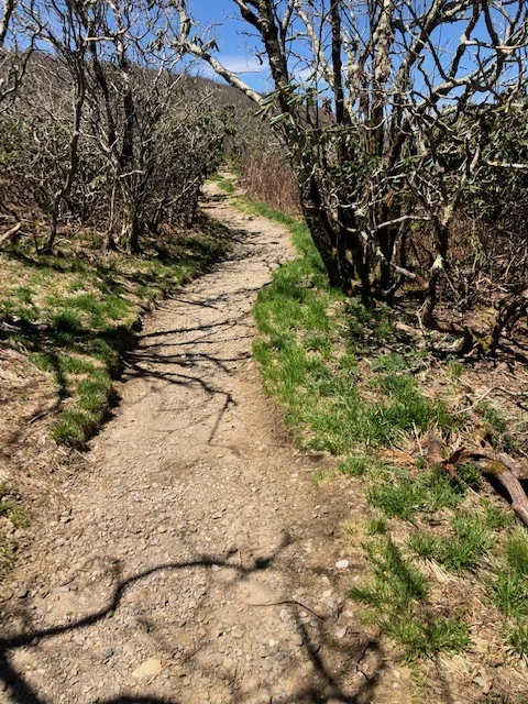 a lonely path.jpg