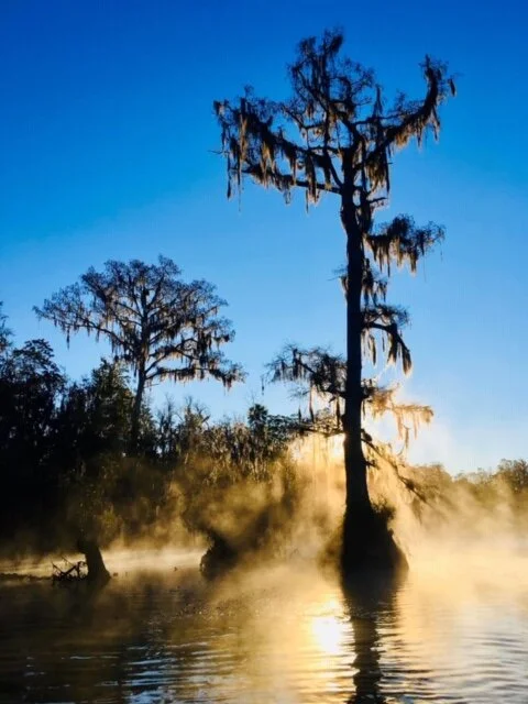 Tenacious Persistence