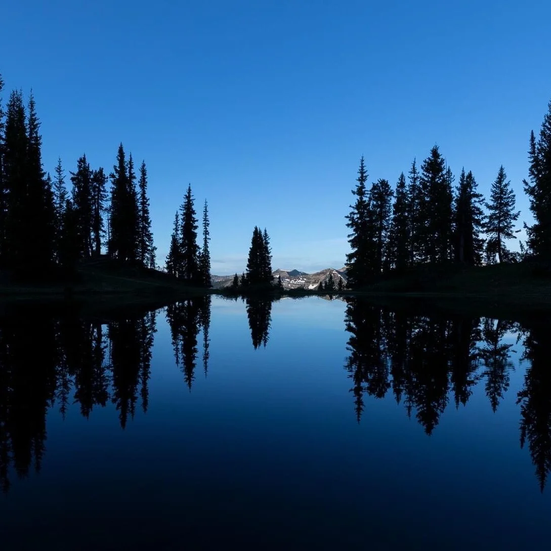 The Dilemma ~ God's Way or My Way