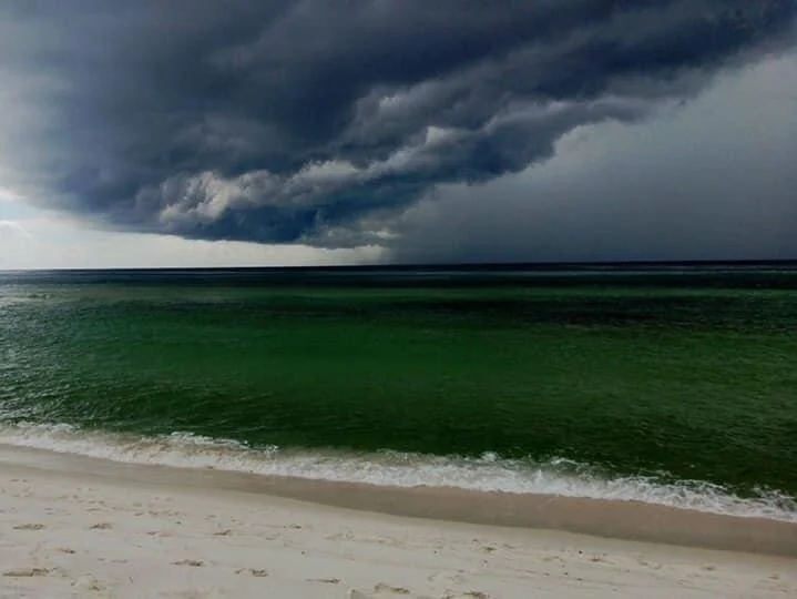 Red Tide and Dry Bones