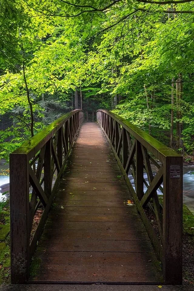 Encourage One Another