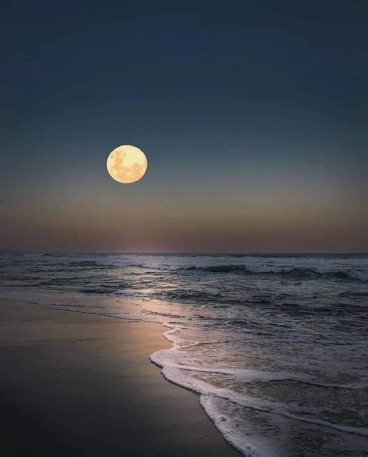 The Beach