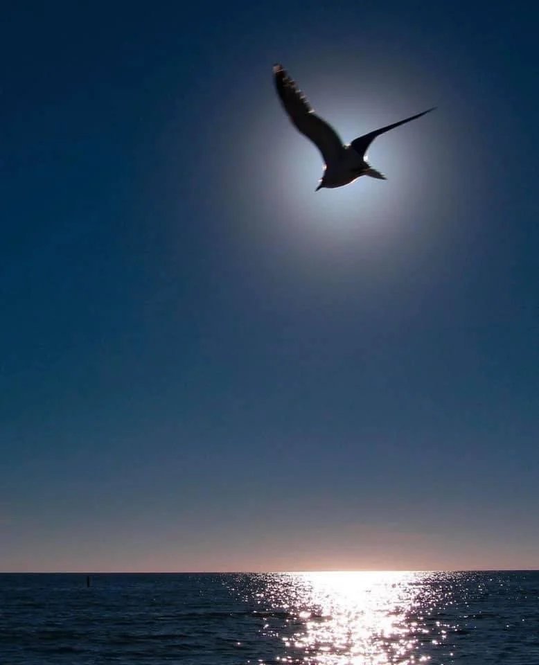 The Magnificat: Mary's Song