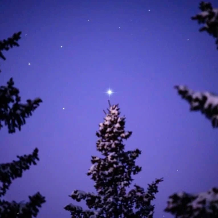 Christmas Wish