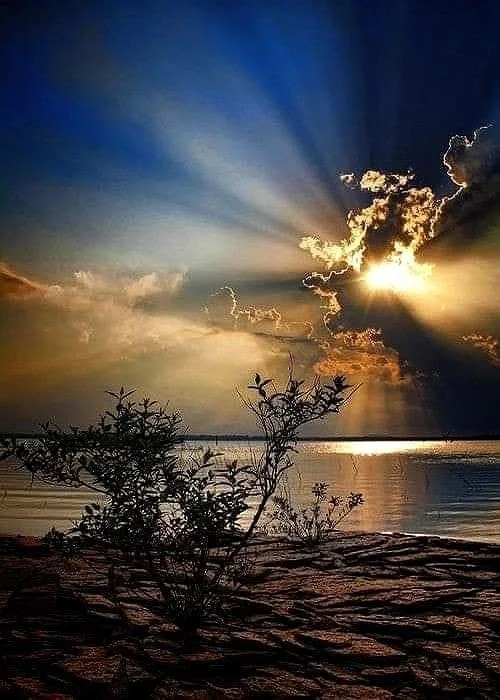Declare