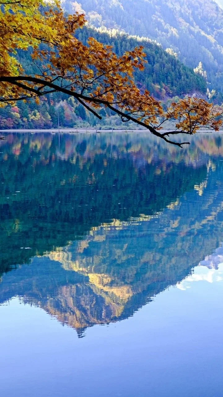 He Didn't Say (25th Anniversary Edition)