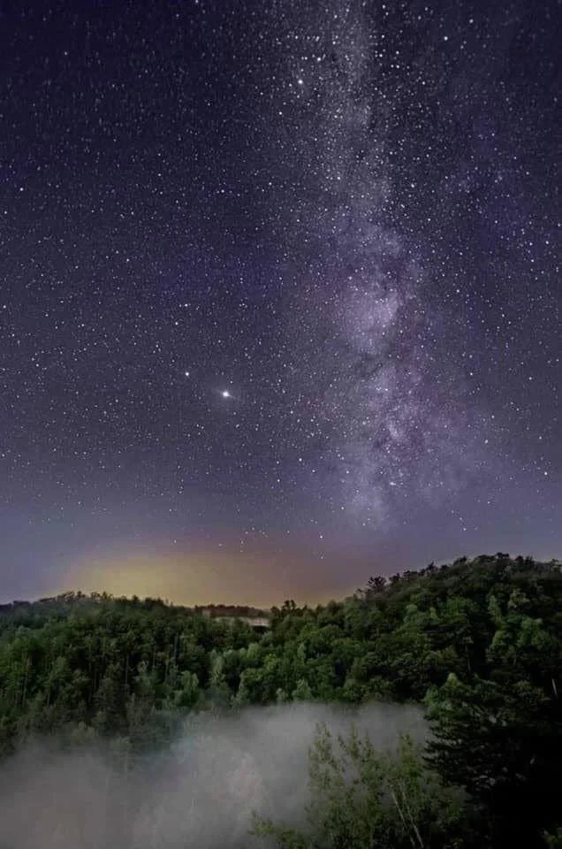 New Year Contemplations