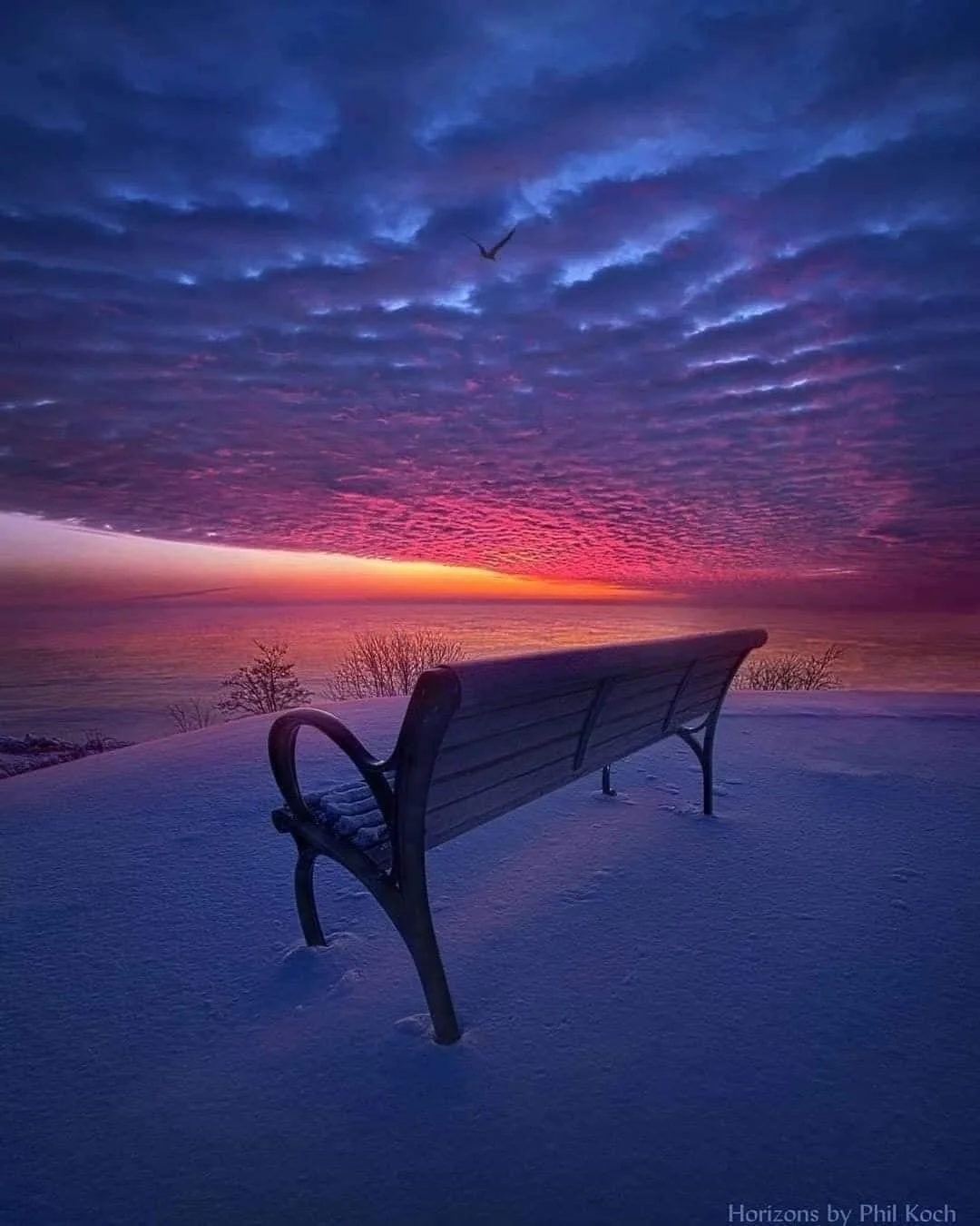 Off The Bench