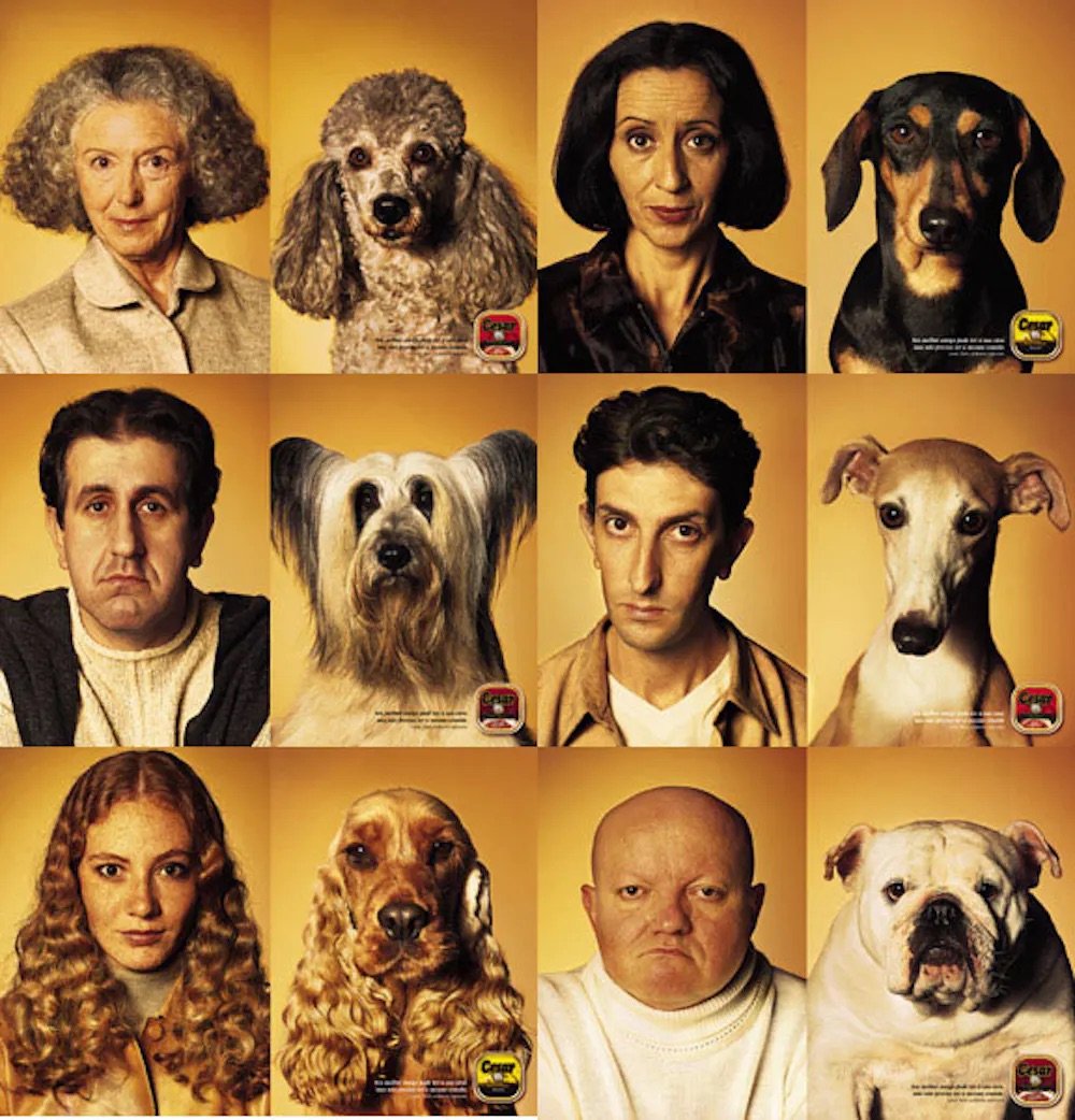 A Dog &amp; Their Master