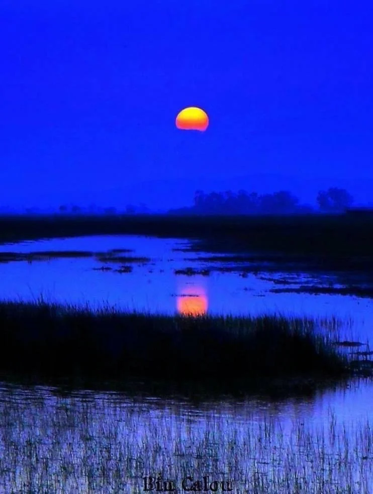 What's Your Passion?