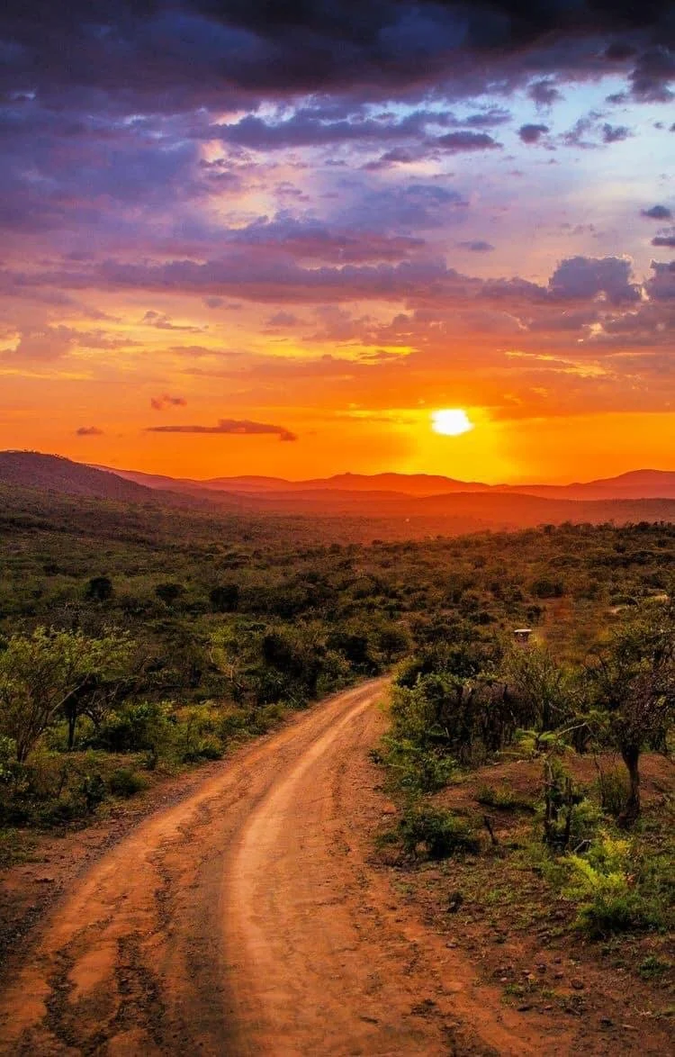 The Road Not Taken