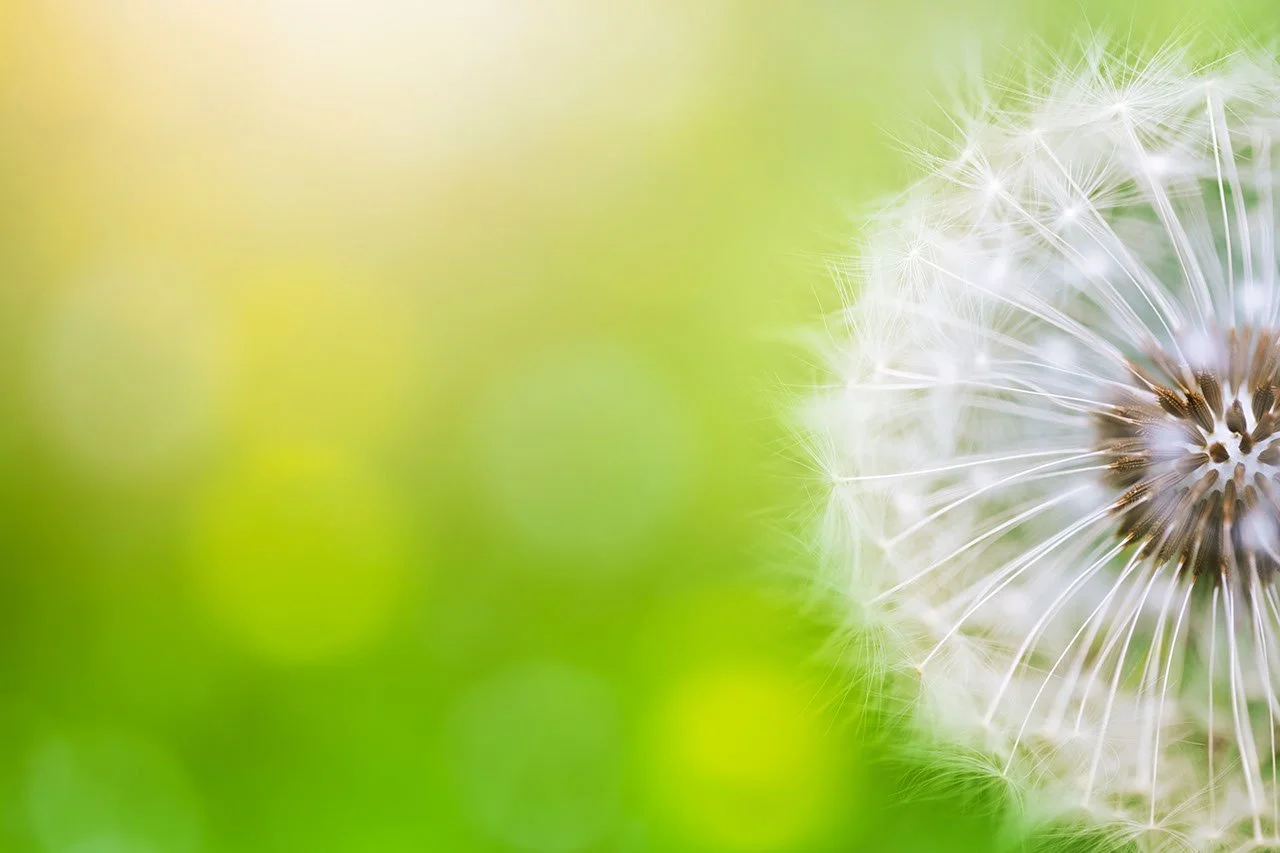 Pollen