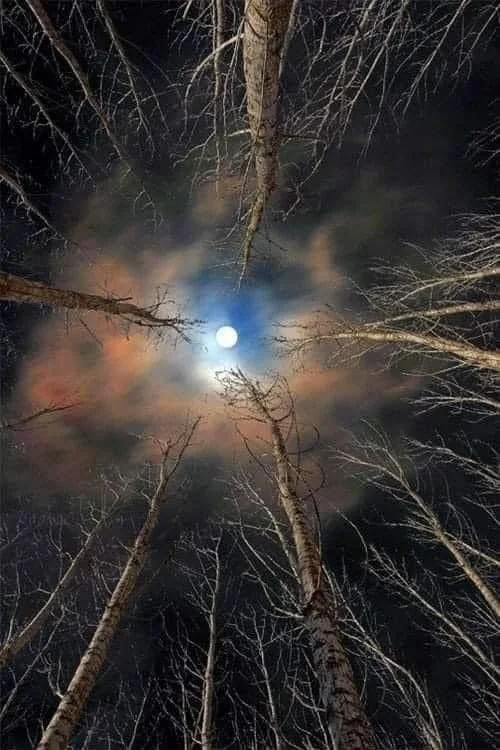 More Darkness
